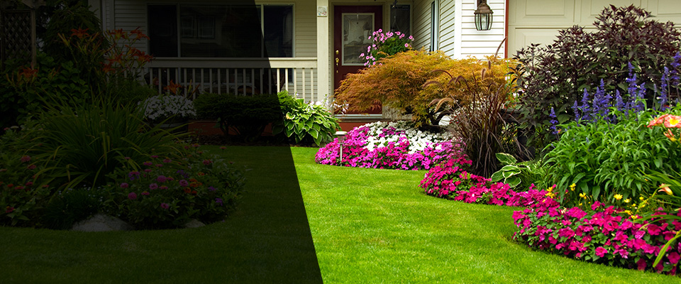 Adams Landscapers